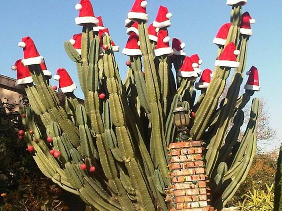 Our 2024 Holiday Gift Guide